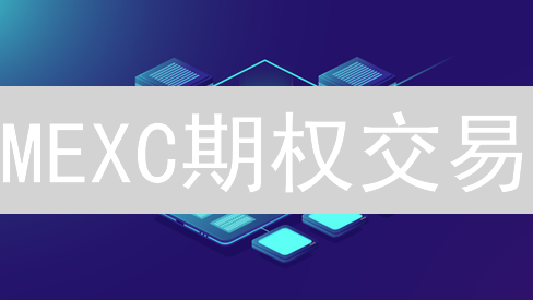 MEXC期权交易：现在入场还来得及吗？2024年新手必看指南！