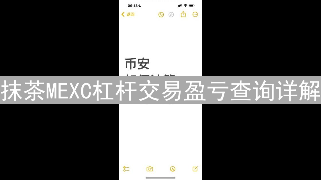 抹茶MEXC杠杆交易盈亏查询详解：步步指导，掌握盈亏
