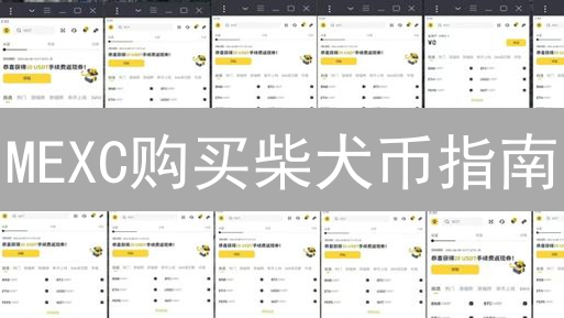 MEXC购买柴犬币指南：步骤、风险与机遇分析