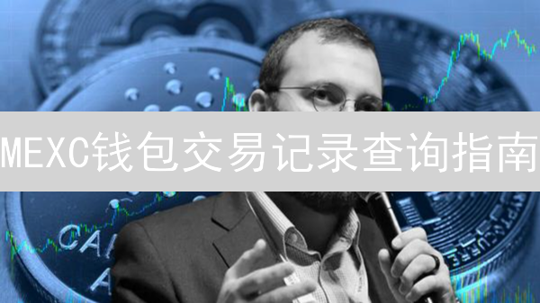 MEXC钱包交易记录查询指南：轻松追踪你的加密货币交易