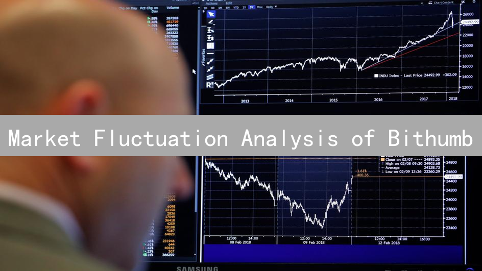 Market Fluctuation Analysis of Bithumb