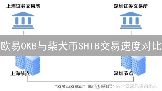欧易OKB与柴犬币SHIB交易速度对比：深入解析与性能分析