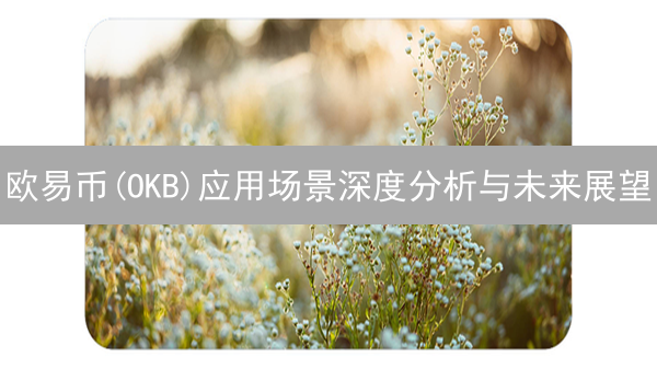 欧易币(OKB)应用场景深度分析与未来展望