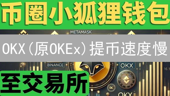 OKX(原OKEx)提币速度慢？2024年如何快速提币？一文详解！