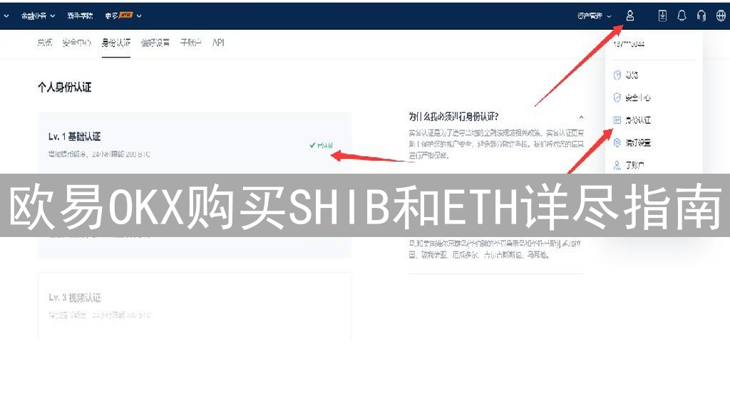 欧易OKX购买SHIB和ETH详尽指南：策略与步骤详解