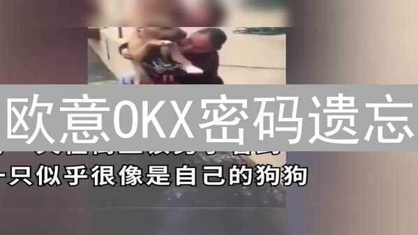 欧意OKX密码遗忘？详细找回步骤指南，快速恢复账户访问