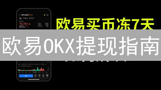 欧易OKX提现指南：安全高效提取数字资产详解