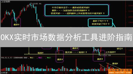 OKX实时市场数据分析工具进阶指南：深度解读与实战技巧