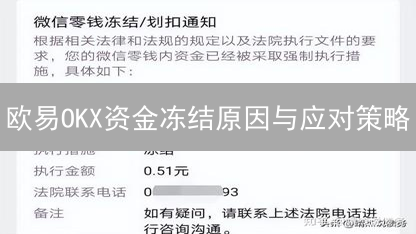 欧易OKX资金冻结原因与应对策略：深度分析