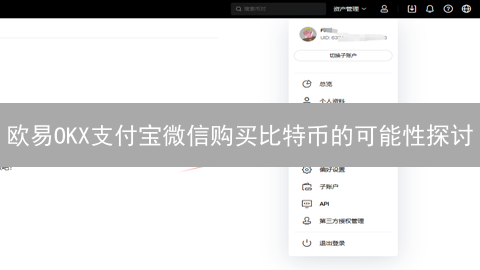 欧易OKX支付宝微信购买比特币的可能性探讨