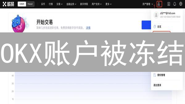 OKX账户被冻结？别慌！掌握这些技巧，解冻速度翻倍！