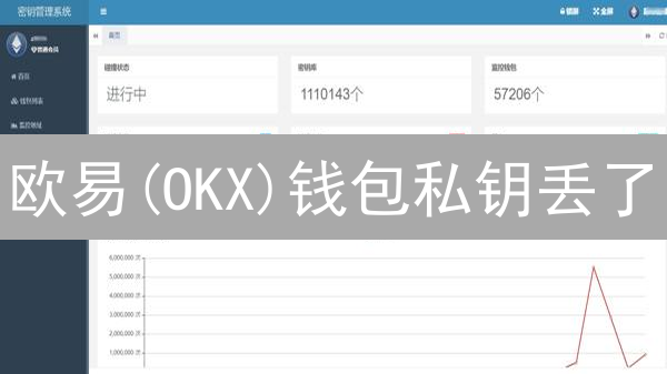 欧易(OKX)钱包私钥丢了？别慌！超全恢复指南，资产安全无忧！
