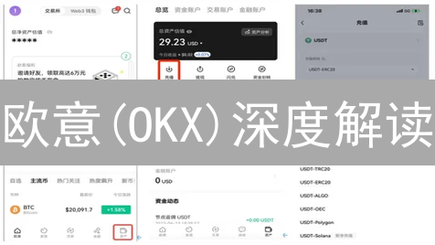 欧意(OKX)深度解读：投资者如何把握加密货币新机遇？