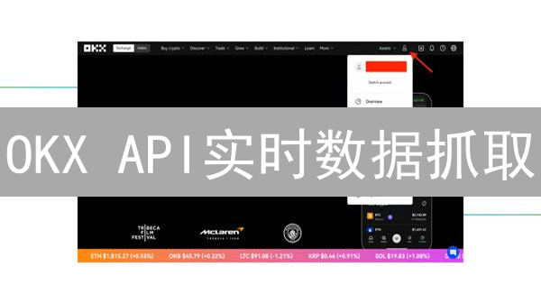 OKX API实时数据抓取：交易利器详解
