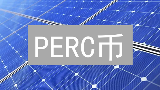 PERC币：连接现实与数字世界的桥梁