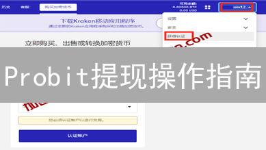 Probit提现操作指南：安全便捷提取数字资产详解