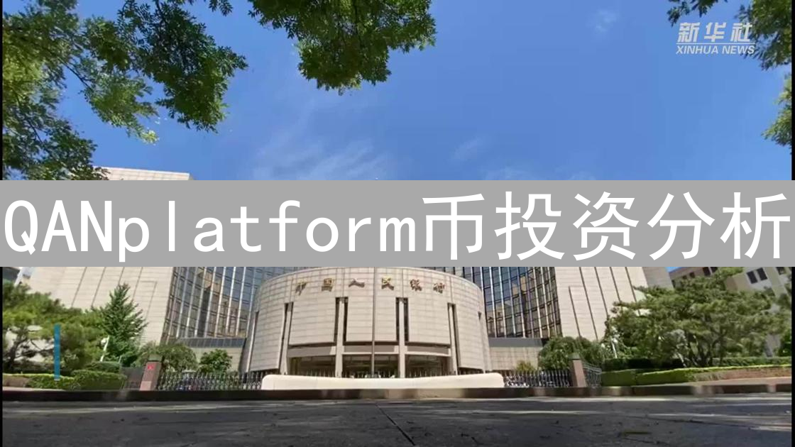 QANplatform币投资分析：潜力、风险与价值评估
