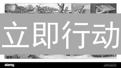 立即行动：Quack币能否让你一夜暴富？揭秘DeFi鸭子币！