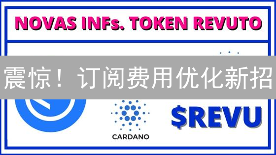 震惊！订阅费用优化新招：REVU币购买全攻略，错过后悔！