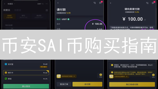 币安SAI币购买指南：新手避坑速成，财富密码就在这？