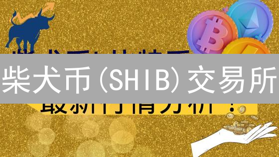 柴犬币(SHIB)交易所：币安、火币网、OKX深度对比