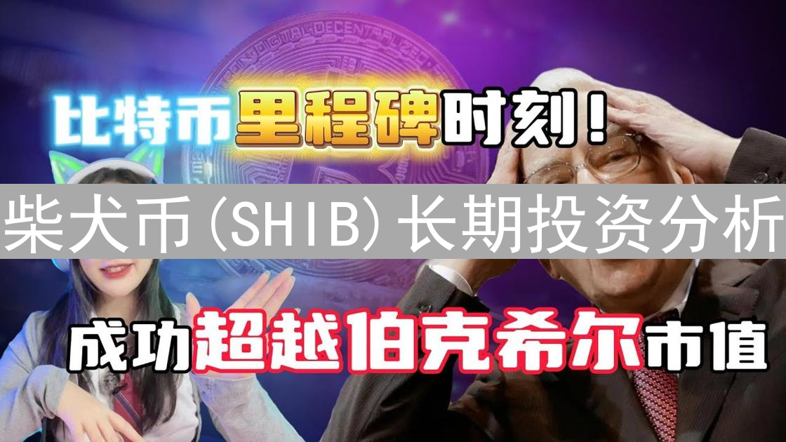 柴犬币(SHIB)长期投资分析：迷因之外的价值考量