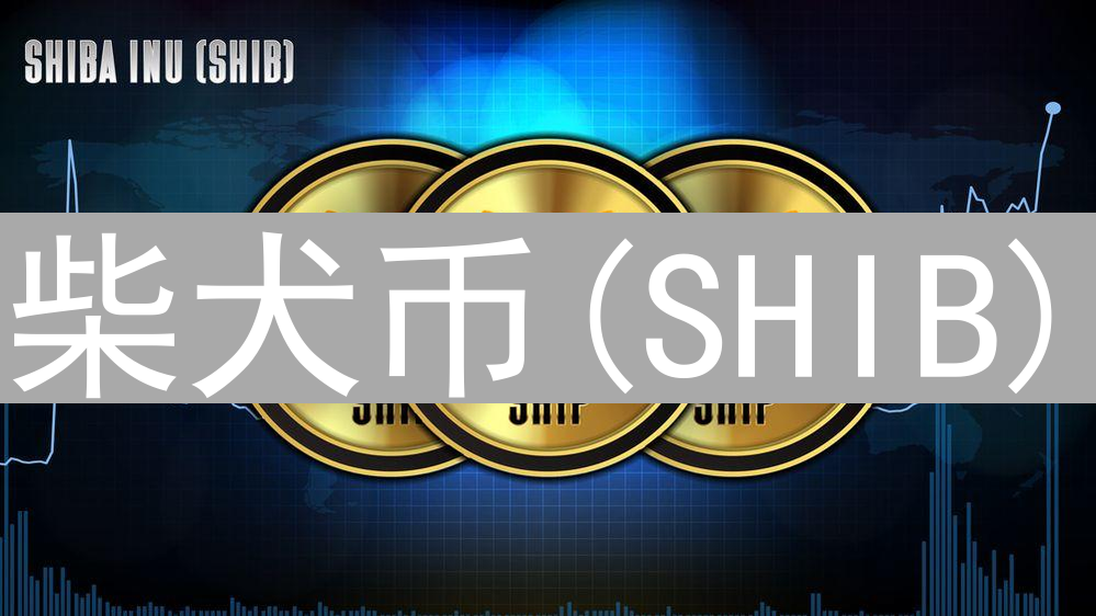 柴犬币(SHIB)：豪赌还是价值重塑的开端？