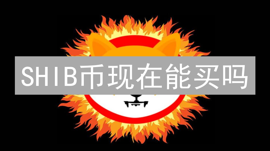 SHIB币现在能买吗？深度解析加密货币投资前言