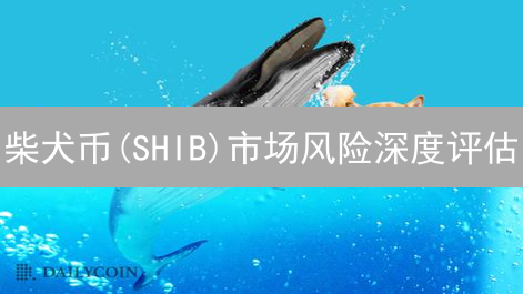 柴犬币(SHIB)市场风险深度评估：波动性、技术与监管