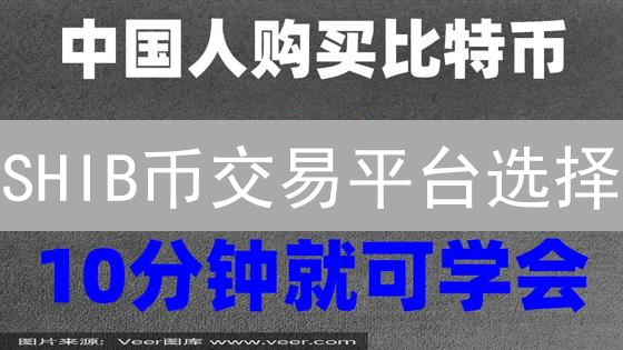 SHIB币交易平台选择：币安与欧易深度对比分析