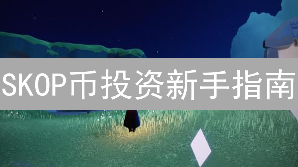 SKOP币投资新手指南：安全购买与平台选择攻略，抓住财富机遇！