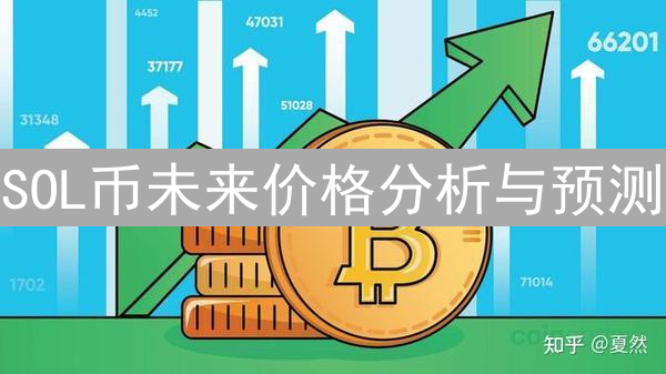 SOL币未来价格分析与预测