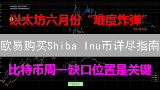 欧易购买Shiba Inu币详尽指南：SHIB币介绍与购买步骤