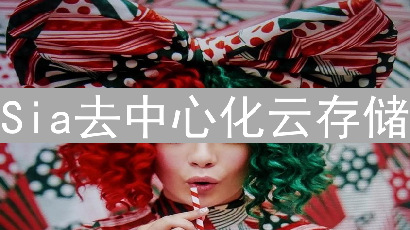 Sia去中心化云存储：颠覆传统，保障数据安全与隐私