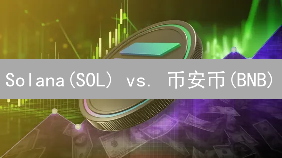 Solana(SOL) vs. 币安币(BNB)：价值投资深度解析