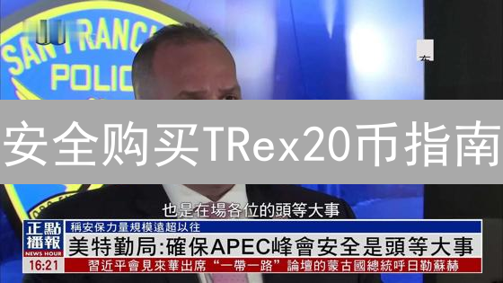 安全购买TRex20币指南：风险防范与策略