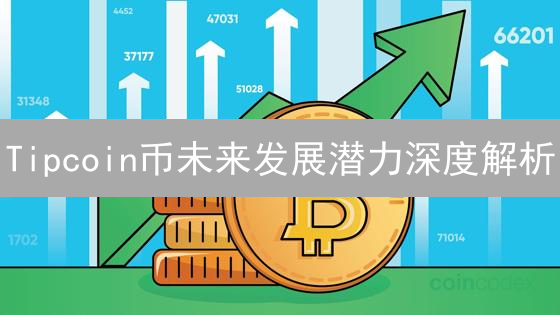 Tipcoin币未来发展潜力深度解析：技术、社区与市场策略