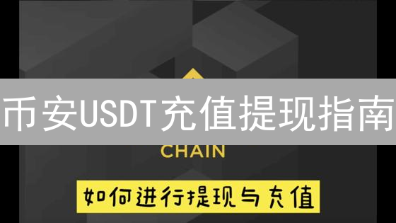 币安USDT充值提现指南：网络选择与操作详解