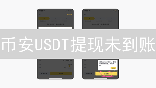 币安USDT提现未到账：原因分析与解决策略