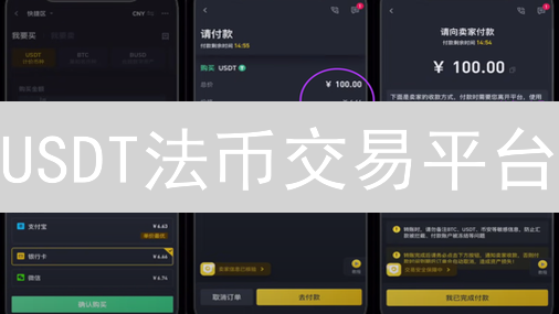 USDT法币交易平台：连接数字资产世界的桥梁