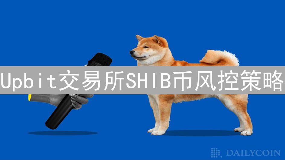 Upbit交易所SHIB币风控策略：迷因狂潮下的稳健航行