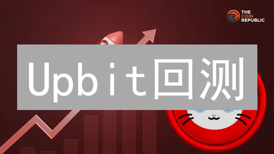 Upbit回测：策略优化与风险评估的数据基石