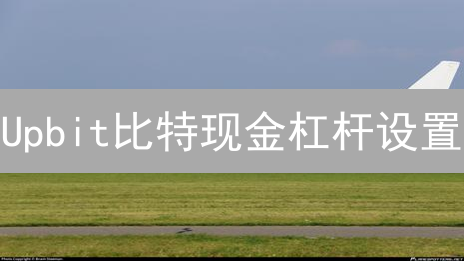 Upbit比特现金杠杆设置：操作指南与风险提示