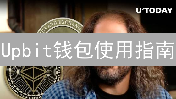 Upbit钱包使用指南：安全管理你的数字资产