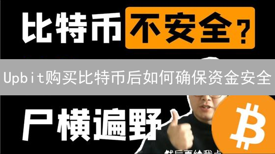 Upbit购买比特币后如何确保资金安全：平台与个人安全策略详解