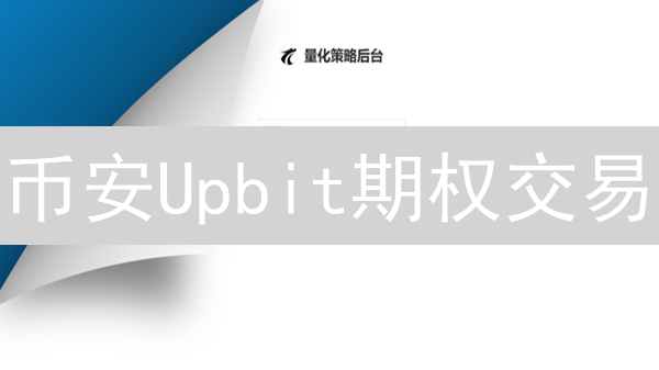 币安Upbit期权交易：关键风险管理要素与策略解析
