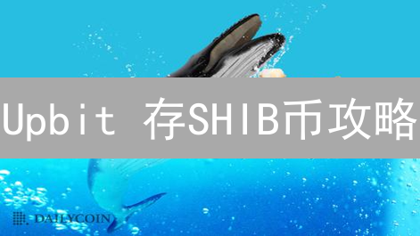 Upbit 存SHIB币攻略：三步搞定，安全无忧！