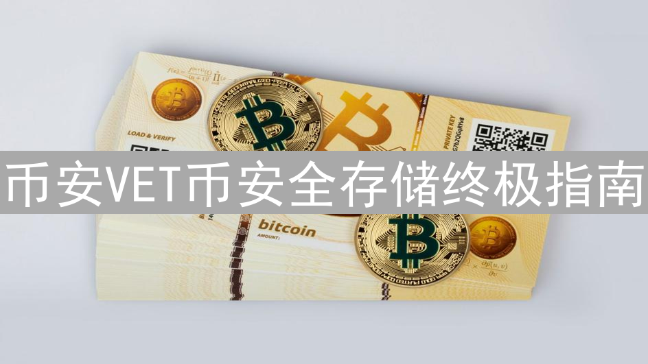 币安VET币安全存储终极指南：多重防护安心持有