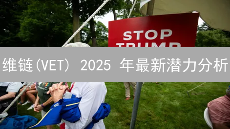 维链(VET) 2025 年最新潜力分析：Bitget 上架后还能投资吗？