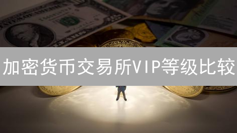 加密货币交易所VIP等级比较：成本与权益的博弈